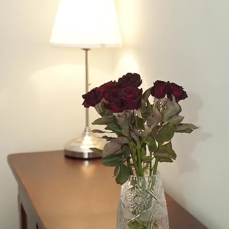 Liana-luxury And Flat Appartamento