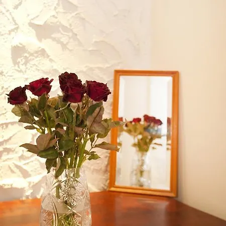 Liana-luxury And Flat Appartamento