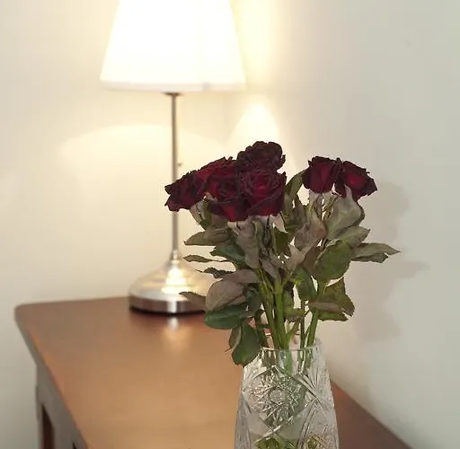 Liana-luxury And Flat Appartement